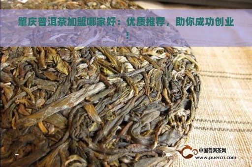 肇庆普洱茶加盟哪家好：优质推荐，助你成功创业！