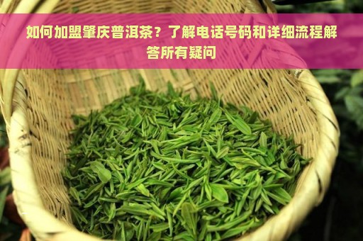 如何加盟肇庆普洱茶？了解电话号码和详细流程解答所有疑问