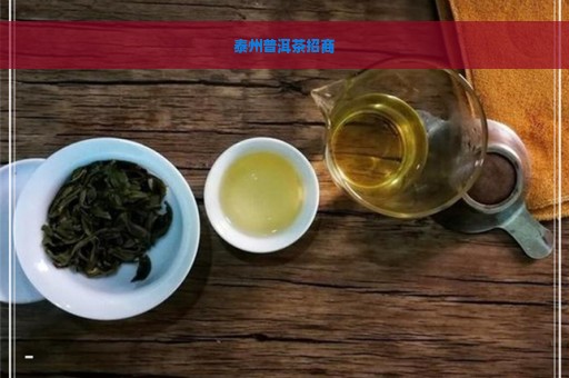 泰州普洱茶招商