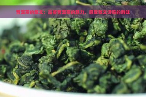 普洱茶的散文：品鉴普洱茶的魅力，感受散文诗般的韵味