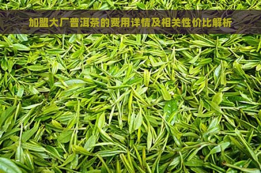 加盟大厂普洱茶的费用详情及相关性价比解析