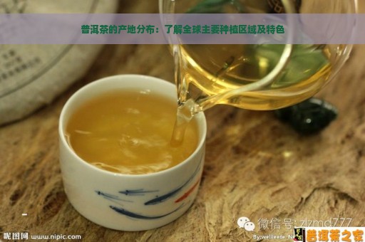 普洱茶的产地分布：了解全球主要种植区域及特色