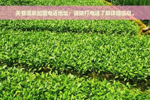 关普洱茶加盟电话地址：请拨打电话了解详细信息。