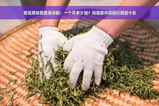 普洱茶加盟费用详解：一个月多少钱？加盟条件和排行榜前十名