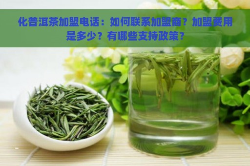 化普洱茶加盟电话：如何联系加盟商？加盟费用是多少？有哪些支持政策？