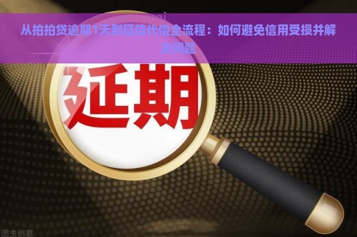 从拍拍贷逾期1天到征信代偿全流程：如何避免信用受损并解决问题