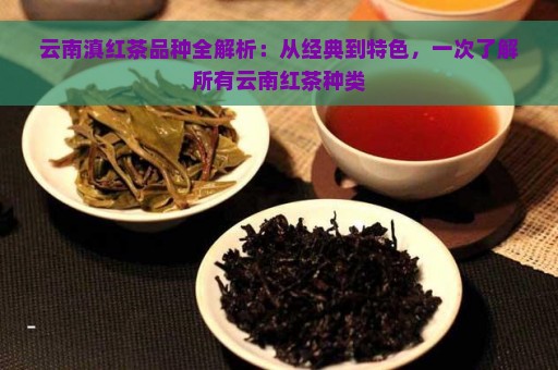 云南滇红茶品种全解析：从经典到特色，一次了解所有云南红茶种类