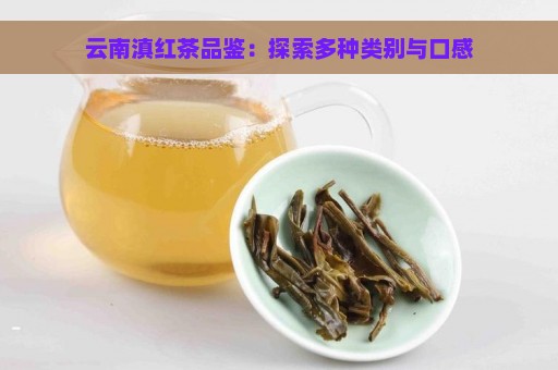 云南滇红茶品鉴：探索多种类别与口感