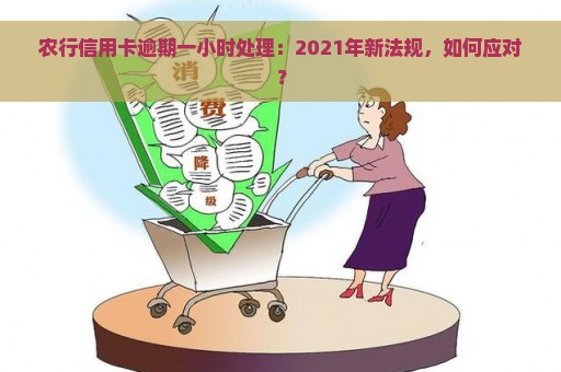 农行信用卡逾期一小时处理：2021年新法规，如何应对？