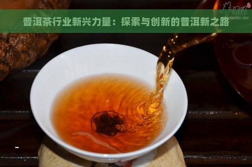 普洱茶行业新兴力量：探索与创新的普洱新之路