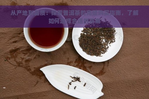 从产地到品质：探索普洱茶的完整购买指南，了解如何选择合适的茶商