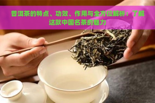 普洱茶的特点、功效、作用与全方位解析：了解这款中国名茶的魅力