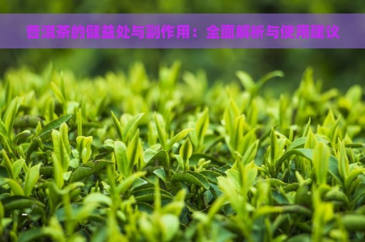 普洱茶的健益处与副作用：全面解析与使用建议