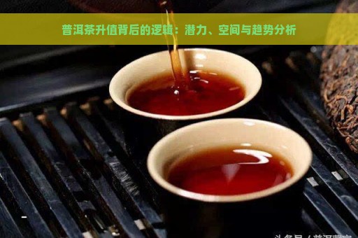 普洱茶升值背后的逻辑：潜力、空间与趋势分析