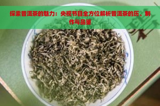 探索普洱茶的魅力：央视节目全方位解析普洱茶的历、制作与品鉴