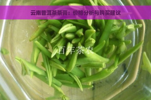 云南普洱茶茶膏：价格分析与购买建议