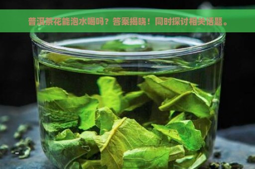 普洱茶花能泡水喝吗？答案揭晓！同时探讨相关话题。