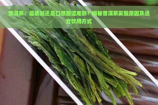 普洱茶：品质越还是口感酸涩难耐？揭秘普洱茶发酸原因及适宜饮用方式