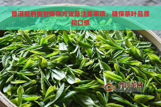 普洱茶的密封保存方法及注意事项，确保茶叶品质和口感