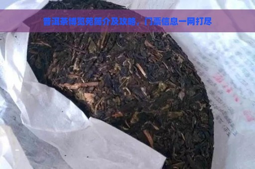 普洱茶博览苑简介及攻略，门票信息一网打尽