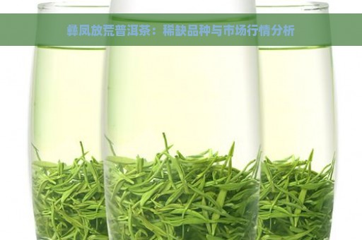 彝凤放荒普洱茶：稀缺品种与市场行情分析