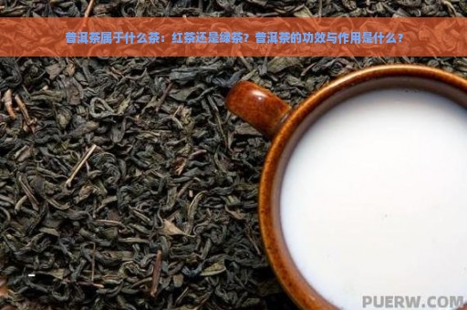 普洱茶属于什么茶：红茶还是绿茶？普洱茶的功效与作用是什么？