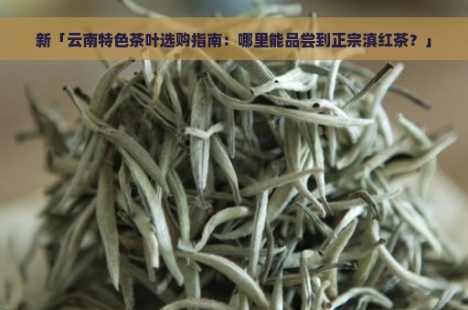 新「云南特色茶叶选购指南：哪里能品尝到正宗滇红茶？」