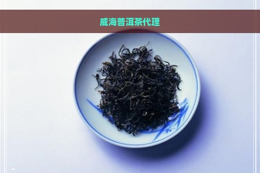 威海普洱茶代理