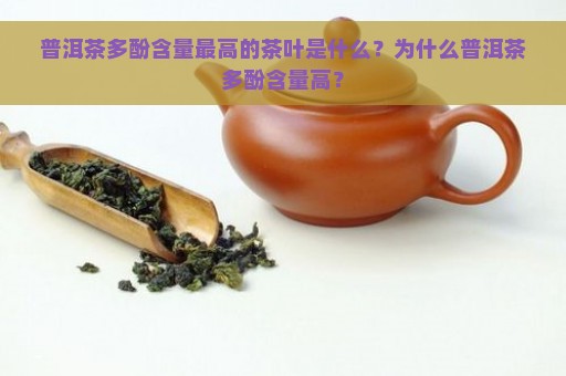 普洱茶多酚含量最高的茶叶是什么？为什么普洱茶多酚含量高？