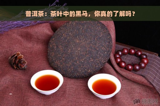 普洱茶：茶叶中的黑马，你真的了解吗？