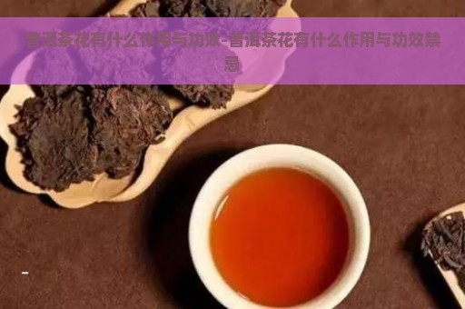 普洱茶花有什么作用与功效-普洱茶花有什么作用与功效禁忌