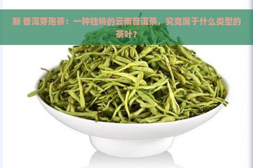 新 普洱芽孢茶：一种独特的云南普洱茶，究竟属于什么类型的茶叶？