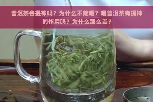 普洱茶会提神吗？为什么不能喝？喝普洱茶有提神的作用吗？为什么那么贵？