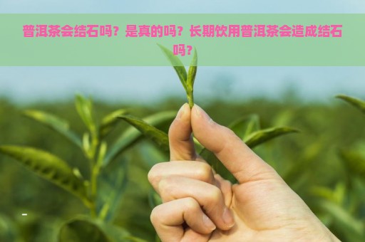 普洱茶会结石吗？是真的吗？长期饮用普洱茶会造成结石吗？