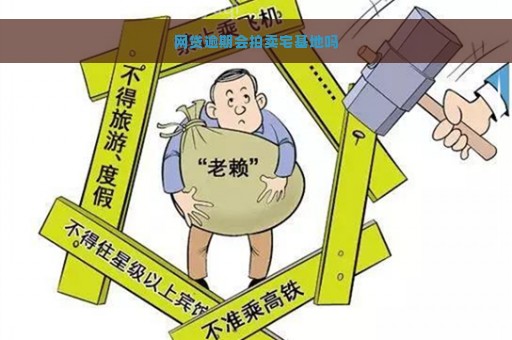 网贷逾期会拍卖宅基地吗