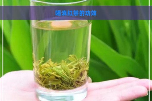 喝滇红茶的功效