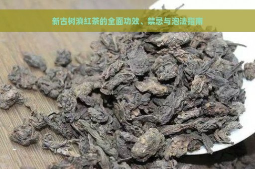 新古树滇红茶的全面功效、禁忌与泡法指南