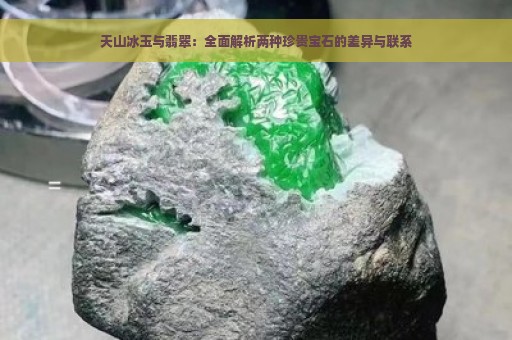 天山冰玉与翡翠：全面解析两种珍贵宝石的差异与联系