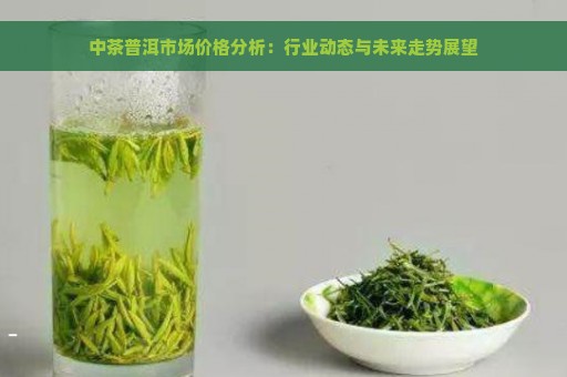 中茶普洱市场价格分析：行业动态与未来走势展望