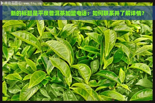 新的标题是平泉普洱茶加盟电话：如何联系并了解详情？