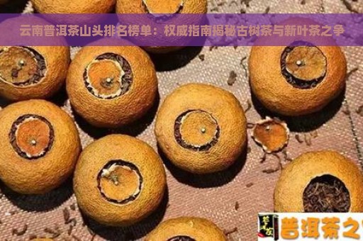 云南普洱茶山头排名榜单：权威指南揭秘古树茶与新叶茶之争