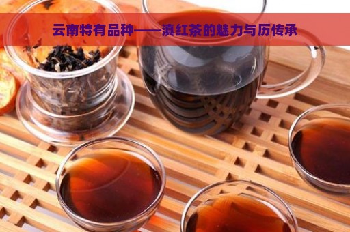 云南特有品种——滇红茶的魅力与历传承