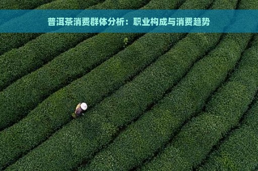 普洱茶消费群体分析：职业构成与消费趋势