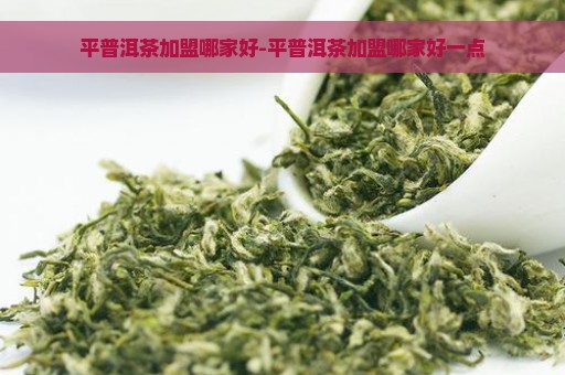 平普洱茶加盟哪家好-平普洱茶加盟哪家好一点