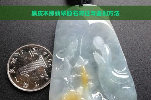 黑皮木那翡翠原石特征与鉴别方法