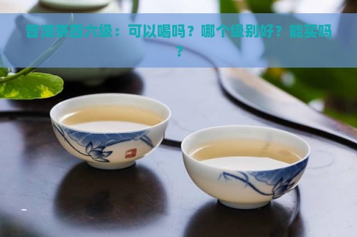 普洱茶四六级：可以喝吗？哪个级别好？能买吗？