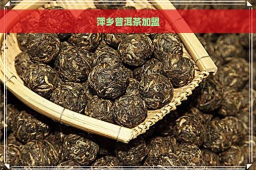 萍乡普洱茶加盟