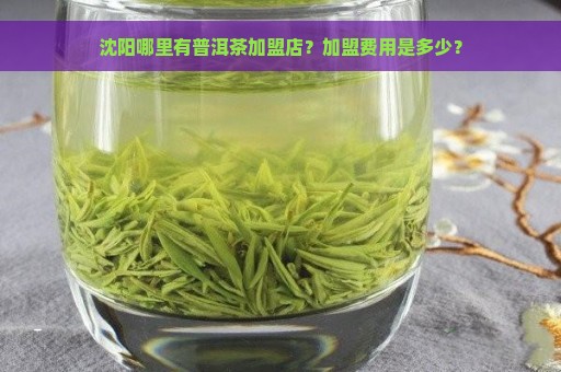 沈阳哪里有普洱茶加盟店？加盟费用是多少？