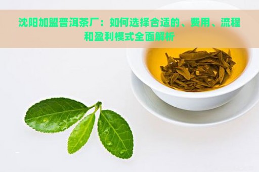 沈阳加盟普洱茶厂：如何选择合适的、费用、流程和盈利模式全面解析