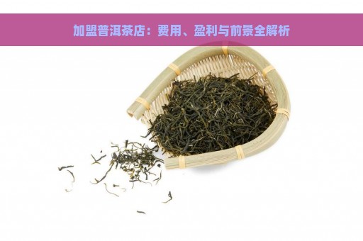 加盟普洱茶店：费用、盈利与前景全解析